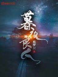 暮夜时光养母是什么小说